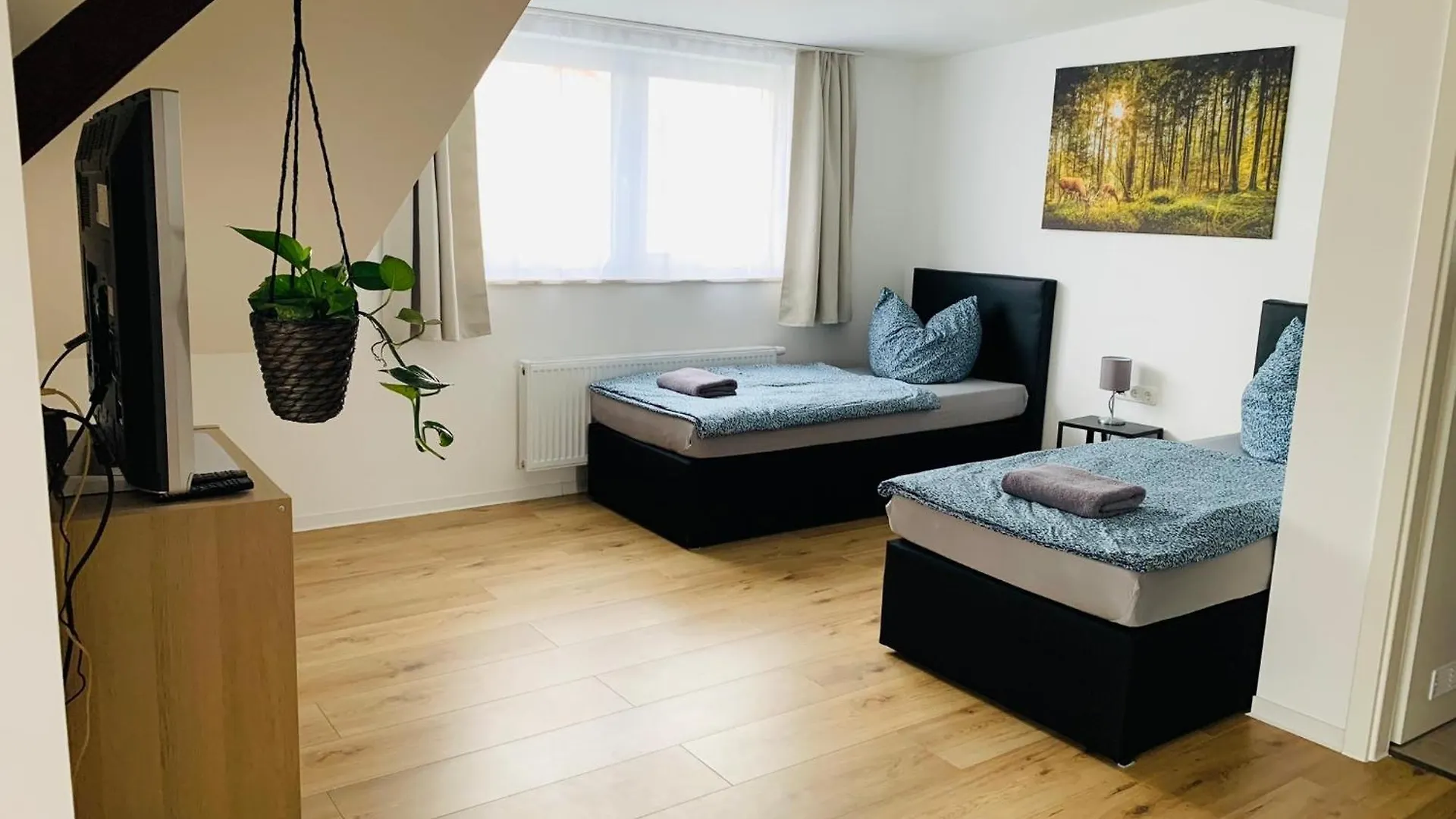 דרזדן Pension Kellei 71 2*,